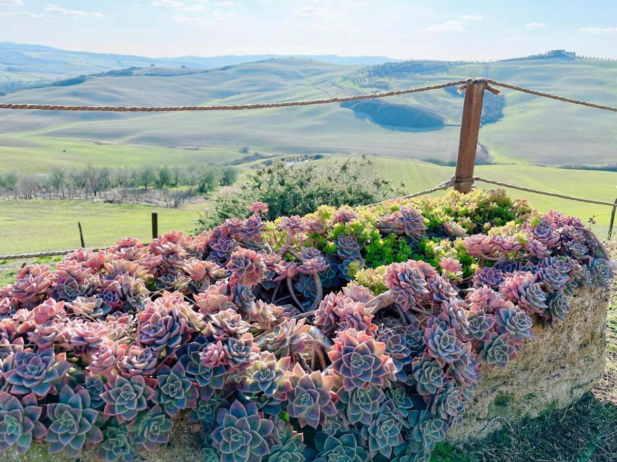 Poggiosalto In Toscana Apartment Pienza Exterior photo